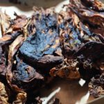 Lord Rangga, Raja Satir Sebenar-benarnya dari Indonesia