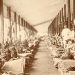 Mengenal Lebih Dekat Kota Jember Sebagai Negeri Cerutu dan Tembakau