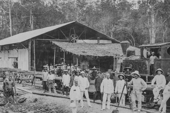 Belajar Sejarah dan Cita Rasa Tembakau Indonesia, dari Perkebunan Hingga Prototipe Industri Nasional (Bagian Kedua)