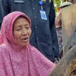 Tantangan El Nino Diubah Jadi Keuntungan oleh Petani Tembakau Purworejo