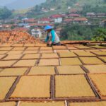 Nastar Cengkeh, Kue Lebaran Aromatik yang Menggiurkan
