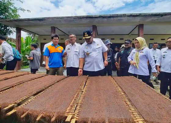 Gubernur Lampung Mendorong Pertumbuhan Petani Tembakau dengan Upaya Kemitraan (Foto: Yopie Pangkey/INFOPUBLIKASILAMPUNG.ID)