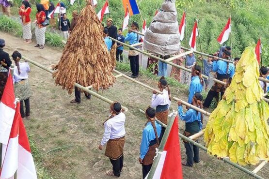 Gunungan Tembakau dan 77 Bendera, Cara Unik Petani Tembakau di Boyolali Peringati Kemerdekaan Indonesia (Sumber Jarmaji/DetikJateng)