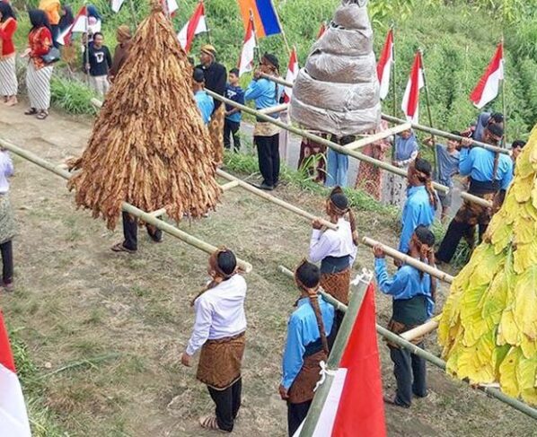 Gunungan Tembakau dan 77 Bendera, Cara Unik Petani Tembakau di Boyolali Peringati Kemerdekaan Indonesia (Sumber Jarmaji/DetikJateng)