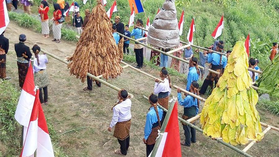 Gunungan Tembakau dan 77 Bendera, Cara Unik Petani Tembakau di Boyolali Peringati Kemerdekaan Indonesia