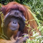 Kontradiksi PP Nomor 109 Tahun 2012 Soal Iklan Rokok