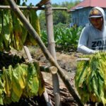 Strategi Menghadapi Inflasi Agar Bisa Tetap Enjoy Bertahan Hidup