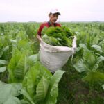 Persahabatan Positif Ala Vincent dan Desta