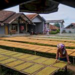 Pelaku Periklanan Menyoroti Potensi Dampak Negatif RPP UU Kesehatan terhadap Ekonomi Kreatif