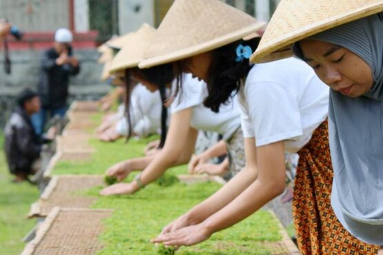 Mahasiswa Belajar Mengenal Tembakau Lembutan Khas Temanggung (Foto: Anindita Kusumastuti/Temanggungkab.go.id)