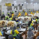 Festival Tembakau Kebumen Membuka Potensi Ekonomi di Desa Karanggayam