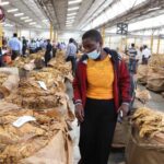 Tips Konsumsi Kurma Agar Gula Darah Tak Naik Selama Puasa