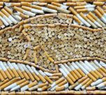 Menelisik Puntung Rokok yang Memiliki Manfaat dan Bernilai Jual Tinggi (Foto: BBC)