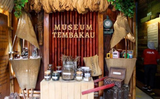 Menelusuri Jejak Tembakau Berkualitas Dunia di Museum Tembakau Jember (Foto: Travelxplore.id)