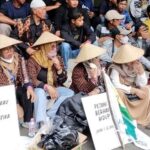 Presiden Joko Widodo Ultah, Petani Tembakau Minta Dilindungi