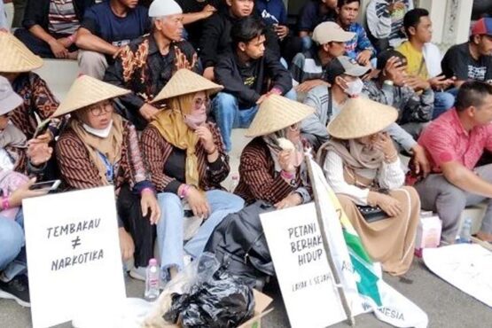 Menerawang Nasib Ekosistem Pertembakauan Jika Tembakau Disamakan dengan Narkotika di RUU Kesehatan