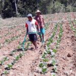 Waspadai Ciri Rokok Ilegal, Berdampak Hukum ke Penjual dan Pembeli