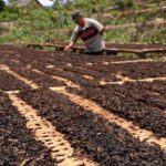 Mengenal Tiga Tradisi Petani Tembakau di Indonesia