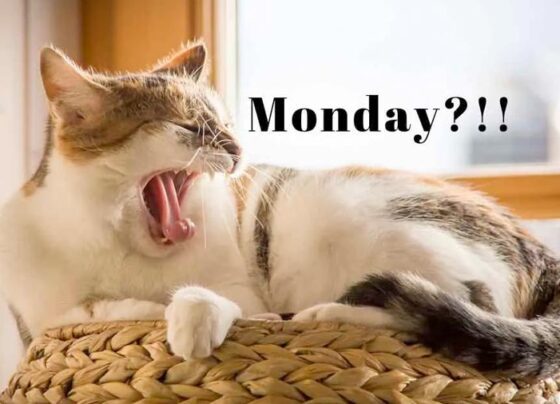 Monday Blues, Saat Senin Tak Diharapkan Datang (Sumber: ProductiveClub.com)