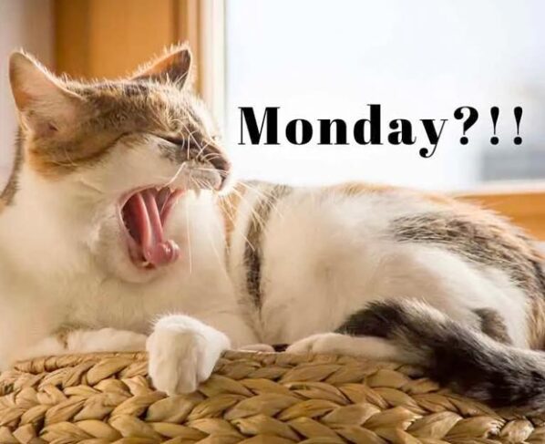 Monday Blues, Saat Senin Tak Diharapkan Datang (Sumber: ProductiveClub.com)