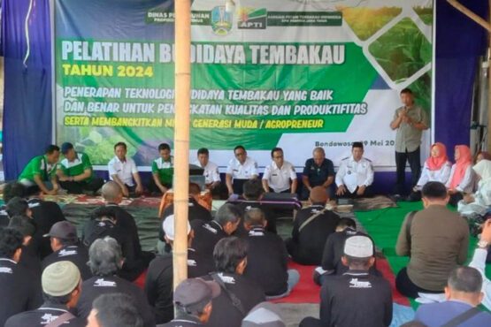 Optimisme Petani Tembakau Bondowoso Menyambut Musim Tanam 2024 APTI Harapkan Perlindungan Pemerintah (Foto: Jatim Pos)