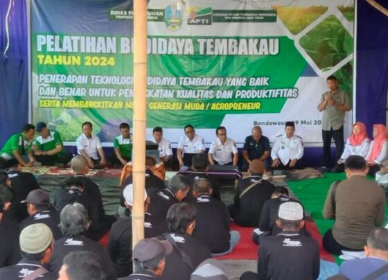 Optimisme Petani Tembakau Bondowoso Menyambut Musim Tanam 2024 APTI Harapkan Perlindungan Pemerintah (Foto: Jatim Pos)