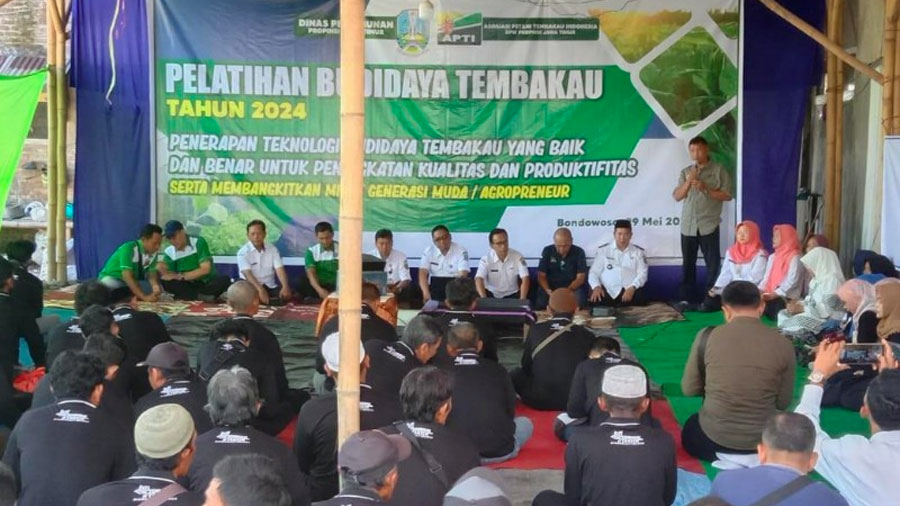 Optimisme Petani Tembakau Bondowoso Menyambut Musim Tanam 2024 APTI Harapkan Perlindungan Pemerintah (Foto: Jatim Pos)