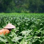 Industri SKT Berkembang, Menciptakan Peluang Kerja Baru