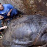 Surabaya dan Liverpool: Sister City dengan Tradisi Tembakau dan Rokok yang Kuat