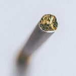 Beasiswa LPDP: Kesempatan dan Tanggung Jawab untuk Negara