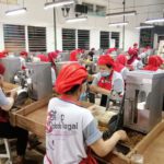 Dampak Negatif RPP Kesehatan: Penurunan Pendapatan Petani dan Pengusaha Vape karena Turunnya Setoran Pajak