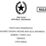 Pele dan Catatan Warisannya untuk Sepak Bola Dunia