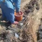 Benarkah Disokong Lima Kecamatan Ini, Kabupaten Temanggung Dijuluki Kota Tembakau