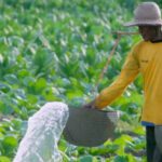 Piala Dunia Qatar 2022 Berakhir, Lionel Messi GOAT Sejati