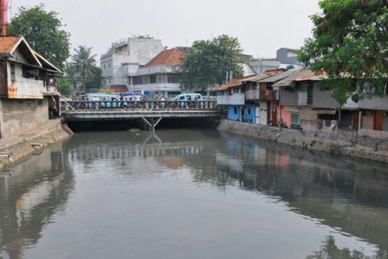 Sungai Ciliwung (Sumber Wikimedia)