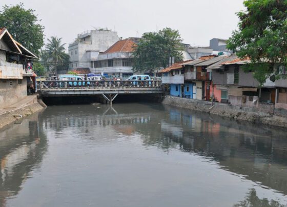 Sungai Ciliwung (Sumber Wikimedia)