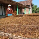 Larangan Penjualan Rokok di PP Kesehatan Bikin Ritel Rugi Rp 21 Triliun