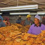 Jelajah Negeri Tembakau, Wujud Nyata Anak Motor Cinta Tembakau