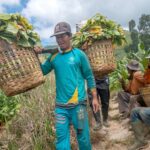 Liam Gallagher, Pria Manchester yang Sering Bikin Geger