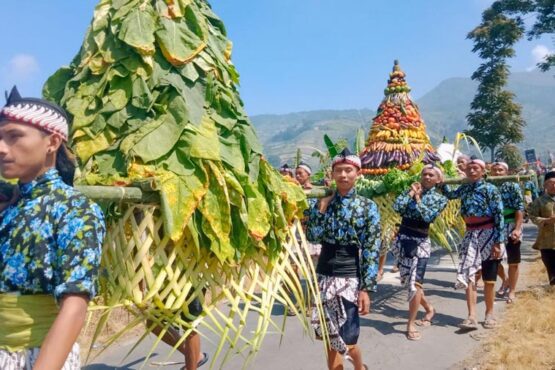 Tradisi Tungguk Tembakau, Keajaiban Panen di Pedesaan (Foto: Sarwoto/elshinta.com)