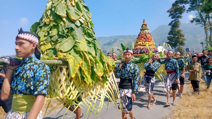 Tradisi Tungguk Tembakau, Keajaiban Panen di Pedesaan (Foto: Sarwoto/elshinta.com)