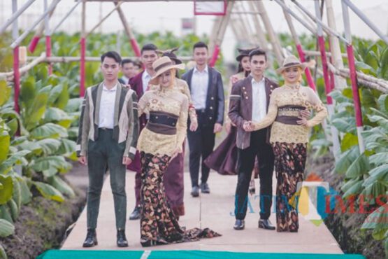 Uniknya Fashion Show di Kebun Tembakau Jember, bergaya Ala SCBD (Sumber Infokom/Jember Times)