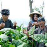 Takut Nonton Pengabdi Setan? Ini Tiga Trik Ampuh Agar Berani Nonton Film Horor