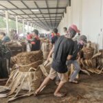 Menelusuri Jejak Tembakau Berkualitas Dunia di Museum Tembakau Jember