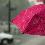 Menjaga Lingkungan Hidup Dimulai dari Keluarga