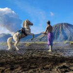 Agen Asuransi Hollywood Dibuat ‘Jantungan’ Tom Cruise Tiap Hari