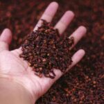 Rokok Kretek Dipopulerkan Nitisemito dan Produksi Massal