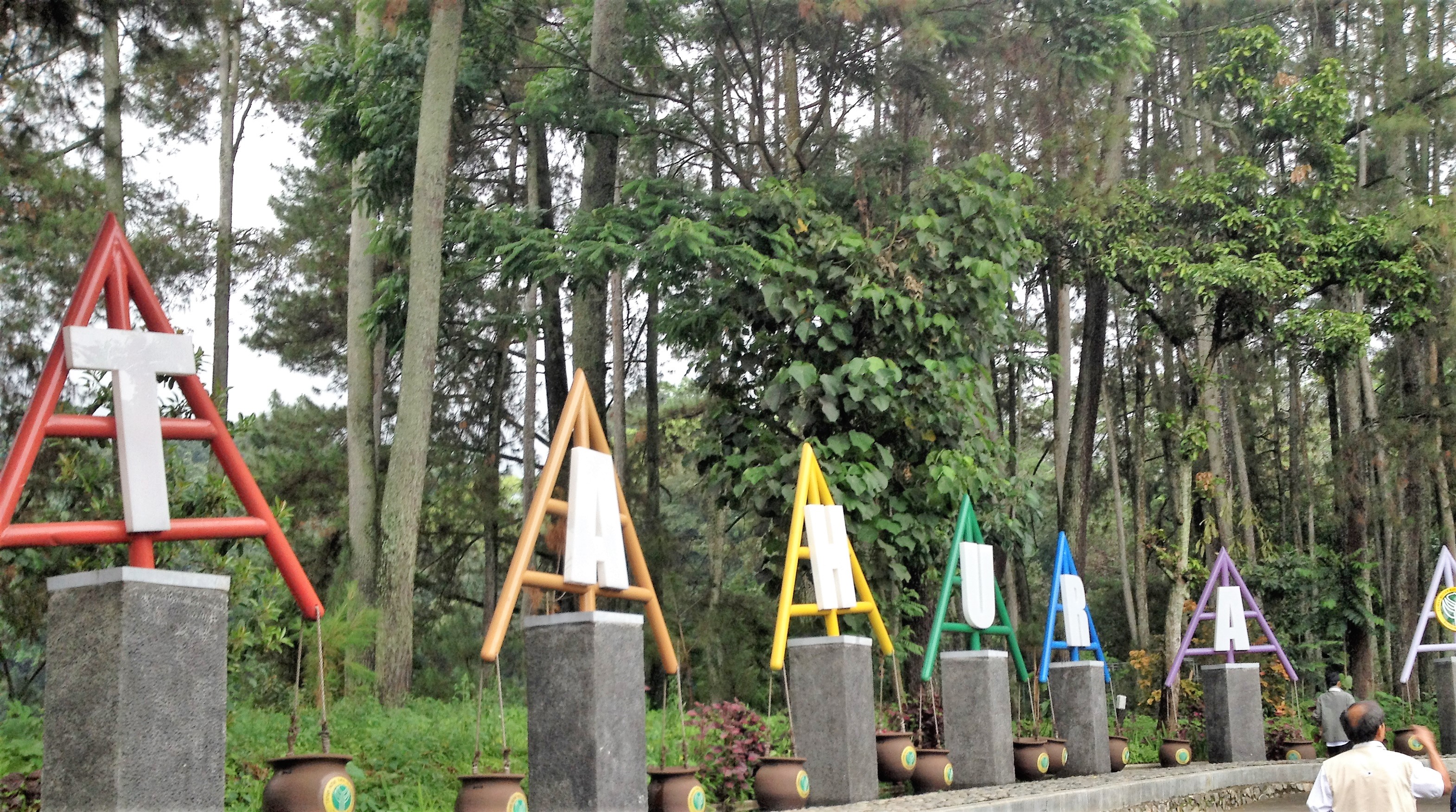 Tahura Bandung Satu satunya Hutan yang Punya Museum 