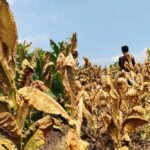 Asosiasi Minta Dilibatkan, DPRD Pekanbaru Proses Pembuatan Perda KTR